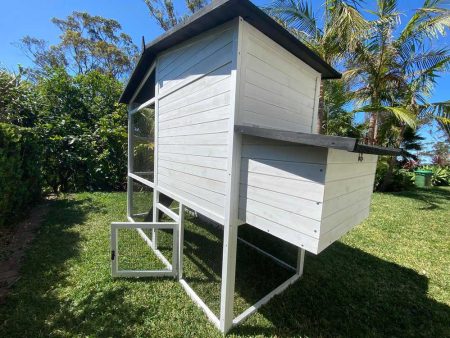 Majestic Cat Kennel external view with back door for ground level access