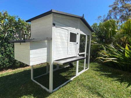Majestic Chicken Coop external front view with easy slide tray and nesting boxes