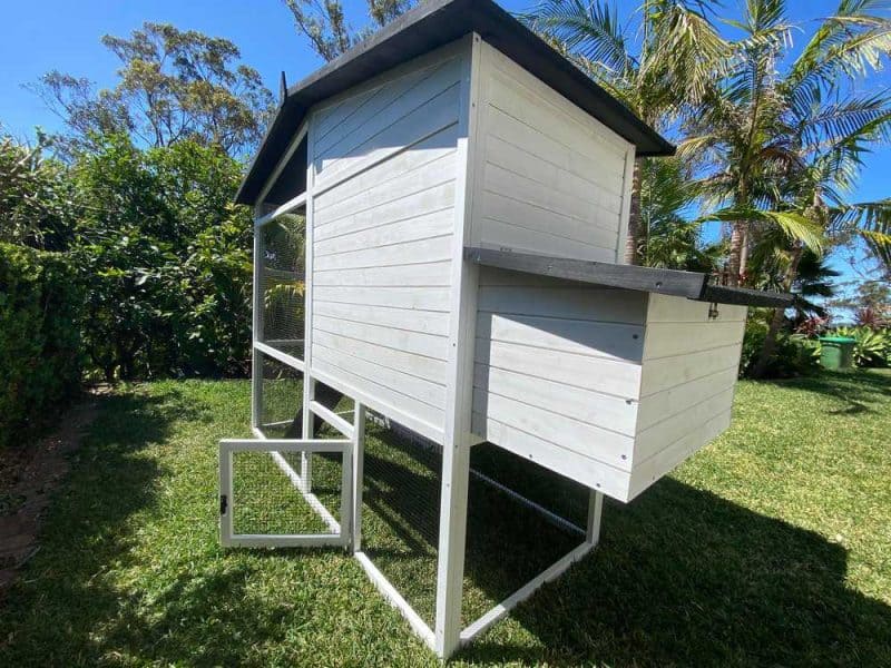 Majestic Chicken Coop external view with back door for ground level access