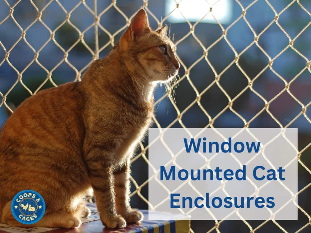 Window Mounted Cat Enclosures