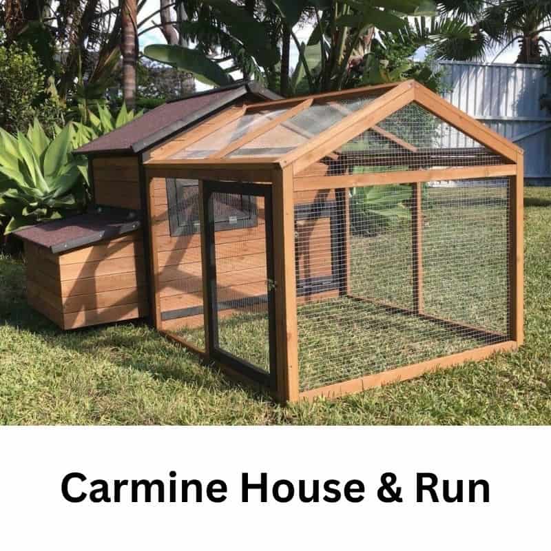 Carmine House & Run