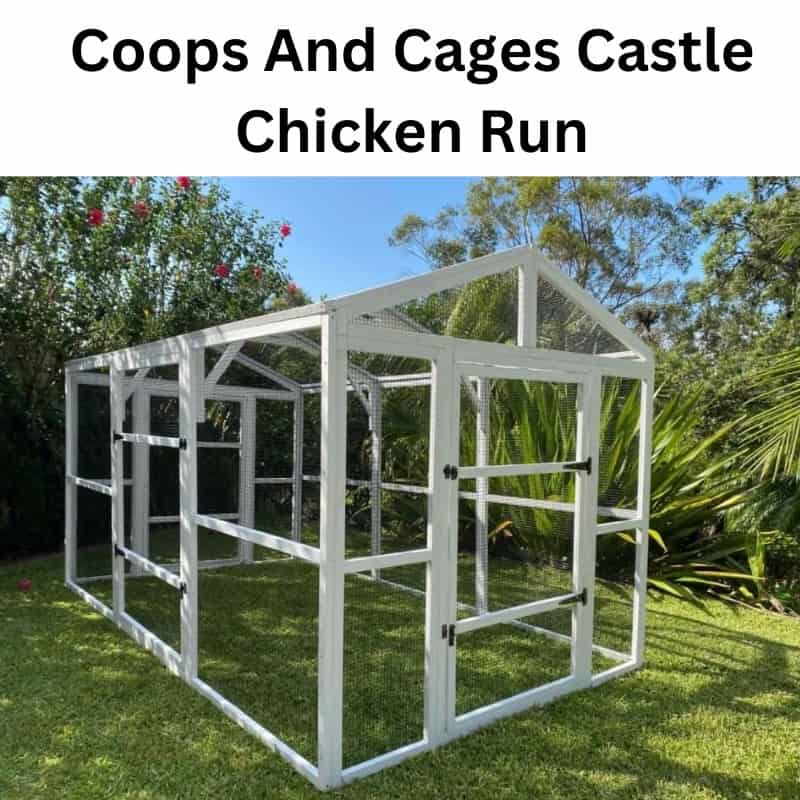 Castle Chicken Run