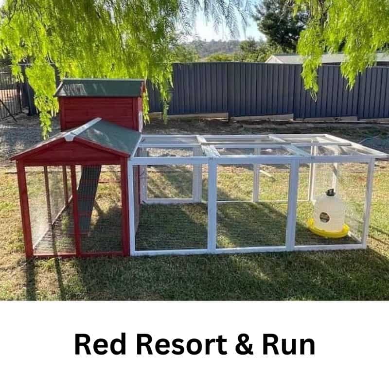 Red Resort Run