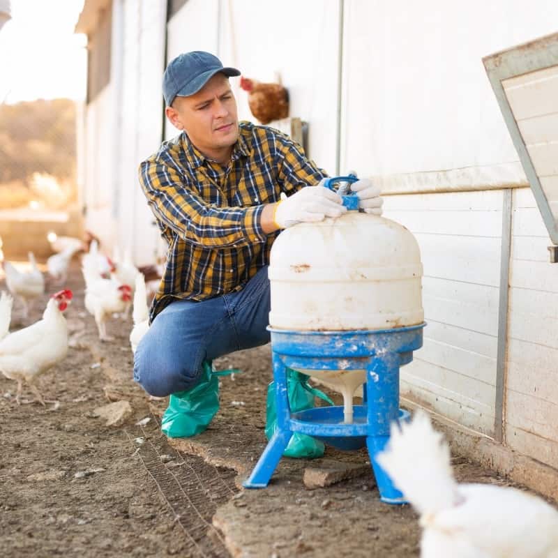 3 Myths about Chicken Hydration