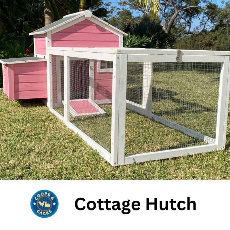 Cottage Guinea Pig Hutch