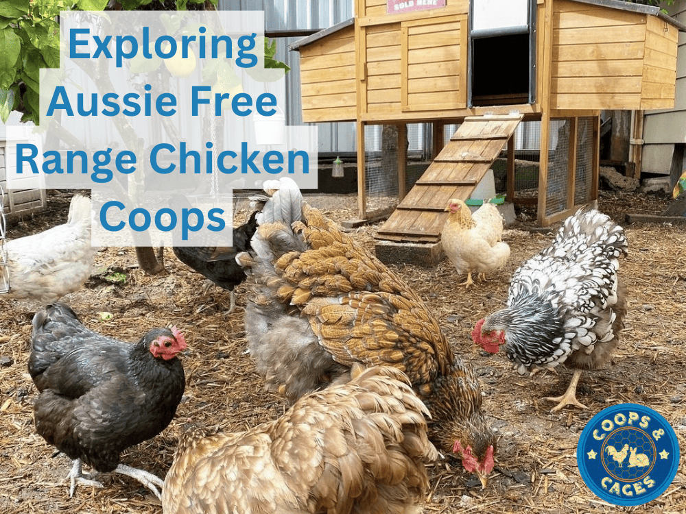 Exploring Aussie Free Range Chicken Coops