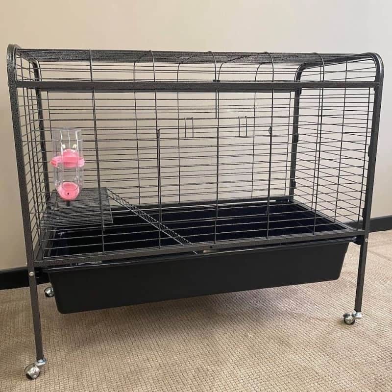 Lexi' Portable Indoor Guinea Pig Cage