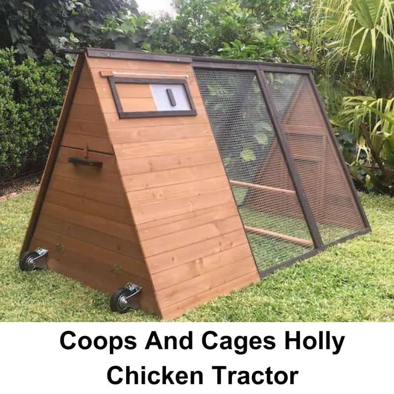 Planning Your Free Range Chicken Coop