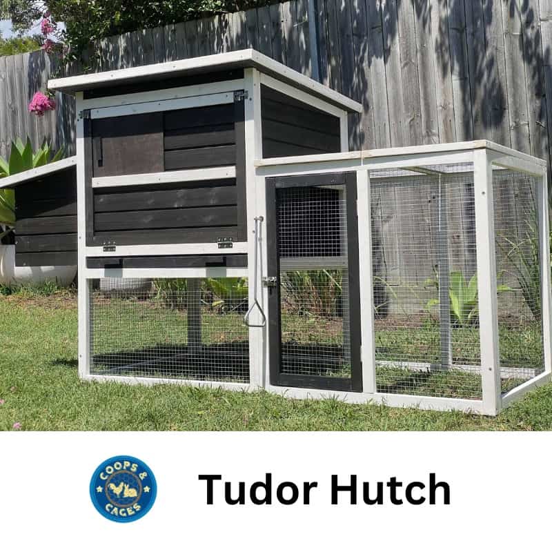 Tudor Guinea Pig Hutch