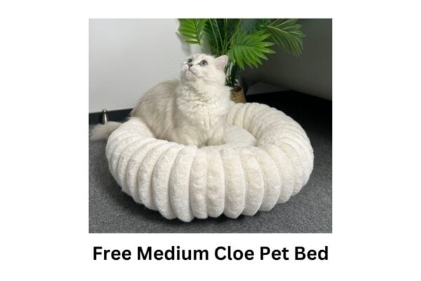 Free Medium Cloe Pet Bed