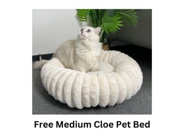 Free Medium Cloe Pet Bed