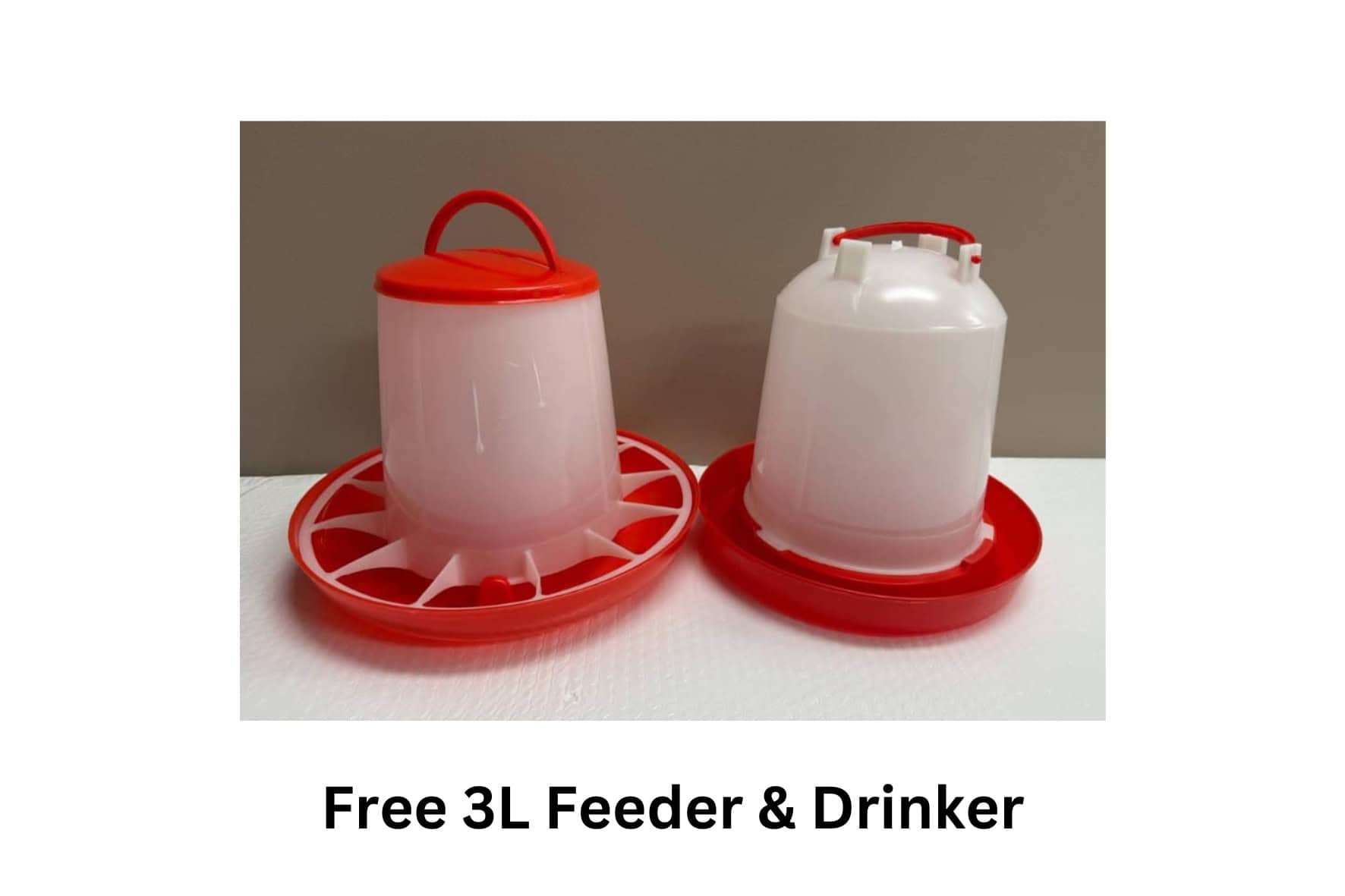 Free 3L Feeder and Drinker