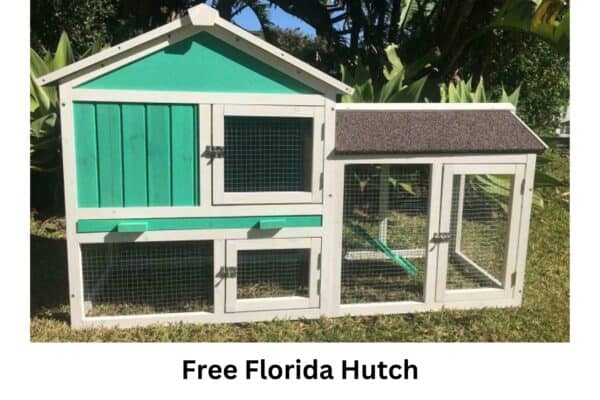 Homestead Chicken Coop & Run - Image 10