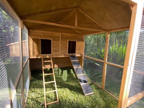 Homestead Cat Enclosure - ladder and ramp