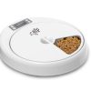 5 Meal Feeder All For Paws