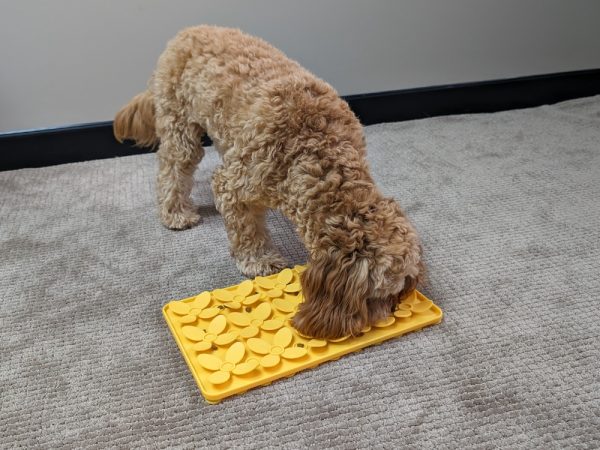 Blossom Dog Digmat All For Paws