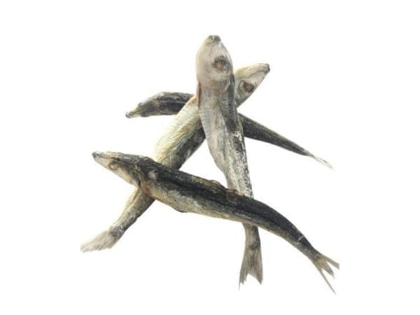 Freeze Dried Raw Sardines