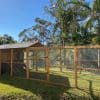 Homestead Cat Enclosure and Run