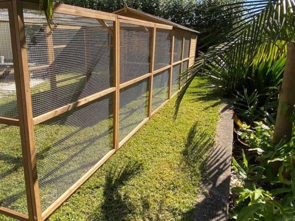 Homestead Cat Enclosure and Run - Side view