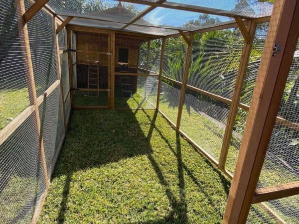 Homestead Chicken Coop and Run Package