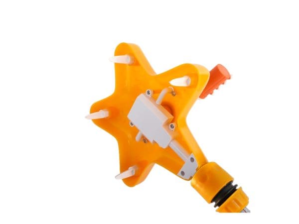Star Fish Sprinkler for Dogs - All For Paws