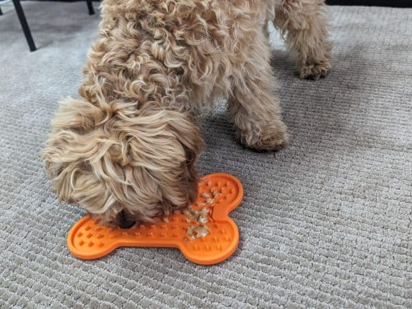 Tasty Bone Lick Mat for Dogs - Cavoodle puppy using Small
