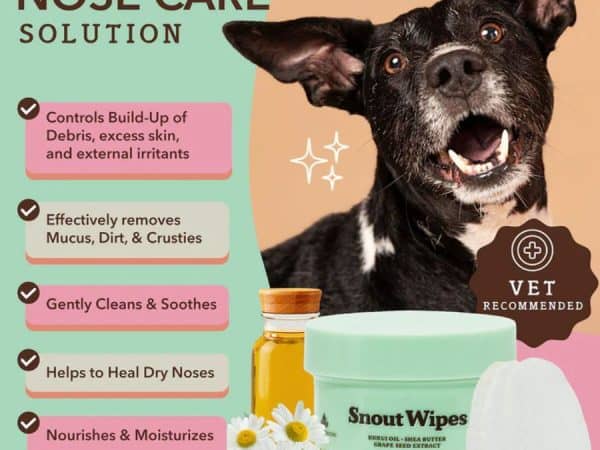 Natural Dog Company Snout Wipes Nose Solution