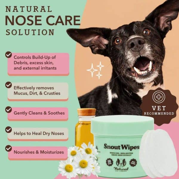 Natural Dog Company Snout Wipes Nose Solution