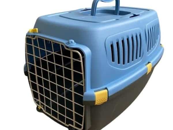 Small Carrier Guinea Pig Blue-dark grey