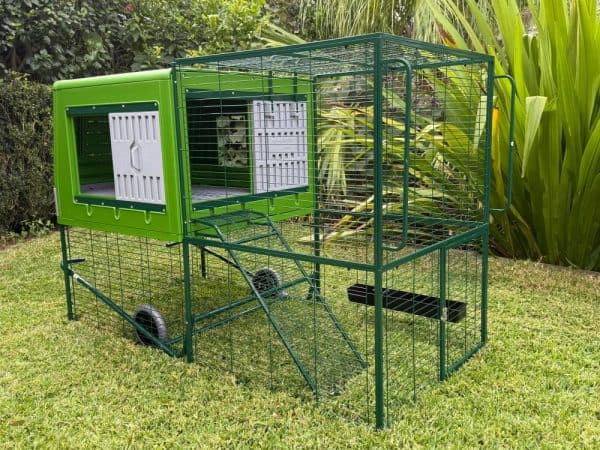 Daisy Plastic Chicken Coop - Doors open