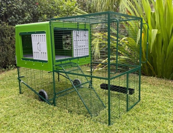 Daisy Plastic Chicken Coop - Doors open