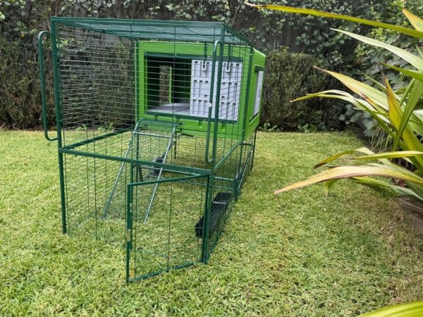 Daisy Plastic Chicken Coop - Run door open