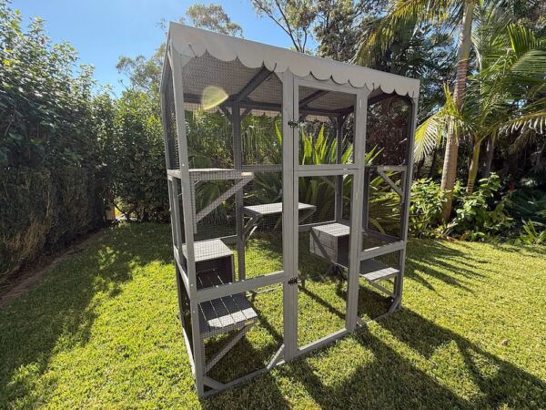 Condo Cat Enclosure