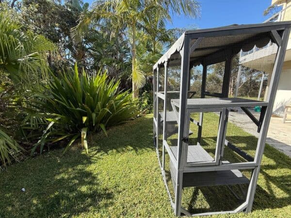 Condo Cat Enclosure - Back