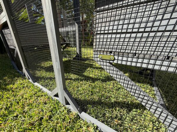 Condo Ferret Enclosure - Black wire mesh