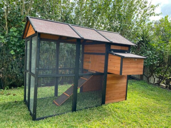 Brown Connie Chicken Coop