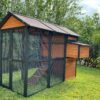 Connie Chicken Coop