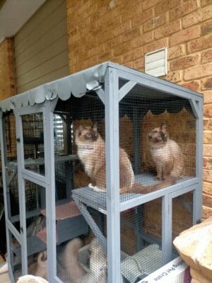 Customer photo - Condo Cat Enclosure