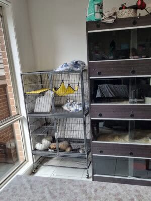 Customer photos - Tucker cage